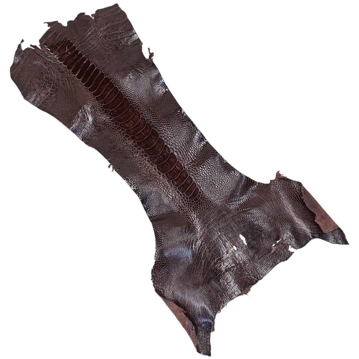 22-17.SLC.2.jpg Special Purchase Ostrich Leg - Bordeaux Image