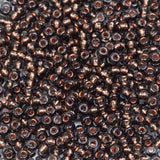 229-104.SLC.1.jpg Seed Beads 10/0 Black Diamond Crystal Lined - 20g Image