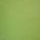 62-02.SLC.3.jpg Lightweight Biker-Chap Side - Avocado Image