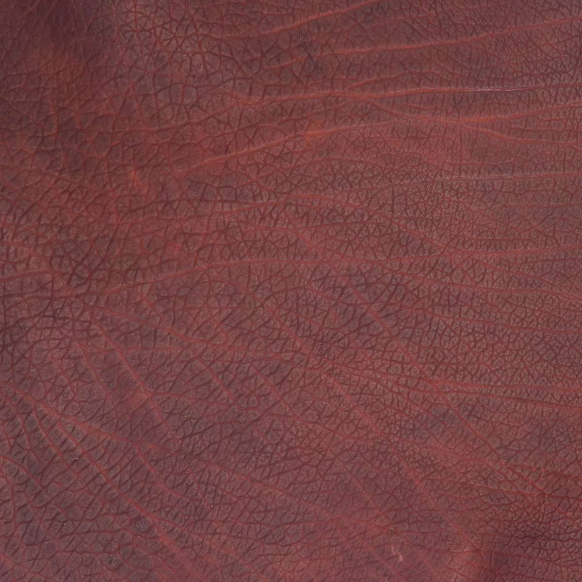 SGBDS.Matte Brown.03.jpg Shrunken Grain Buffalo Double Shoulders Image