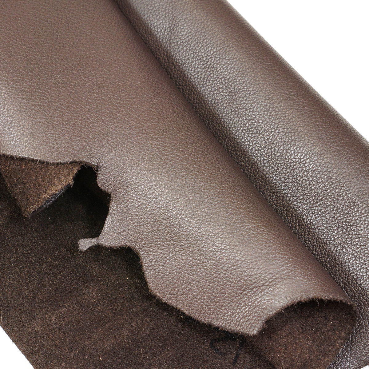 6200-802.SLC.2.jpg Lightweight Biker/Chap Side - Dark Brown Image