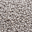 229-1049.SLC.1.jpg Seed Beads 10/0 Grey Glass - 110g Image