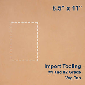 100-G.SLC.1.jpg Import Tooling Pre-Cut - 8.5" x 11" Image
