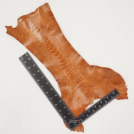 63-30506.SLC.3.jpg Ostrich Leg - Brandy Image