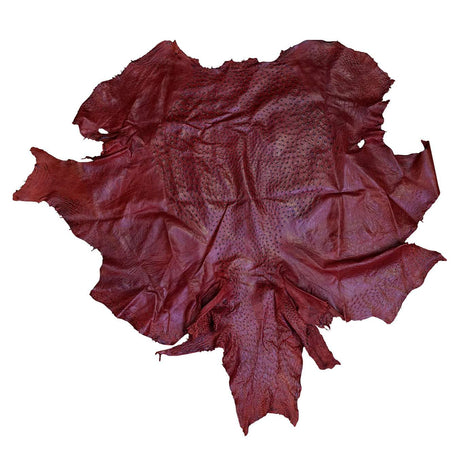 OSTH.Almond.01.jpg Ostrich Hides Image