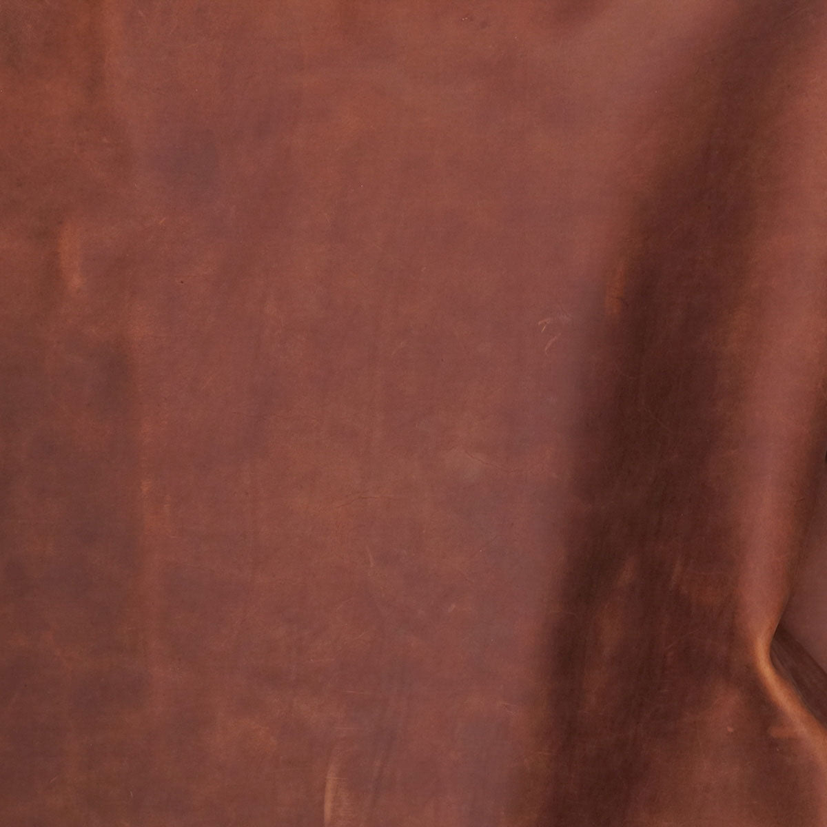 SBFS.Sillero Amber.03.jpg SB Foot Side Image