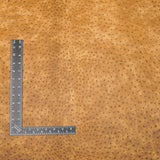 57-7512.SLC.2.jpg Rustic Ostrich Print - Pecan Image