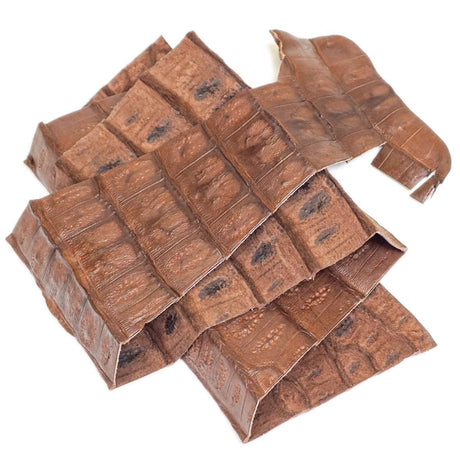 76-1.SLC.1.jpg Trimmed Caiman Tail - Brown Image