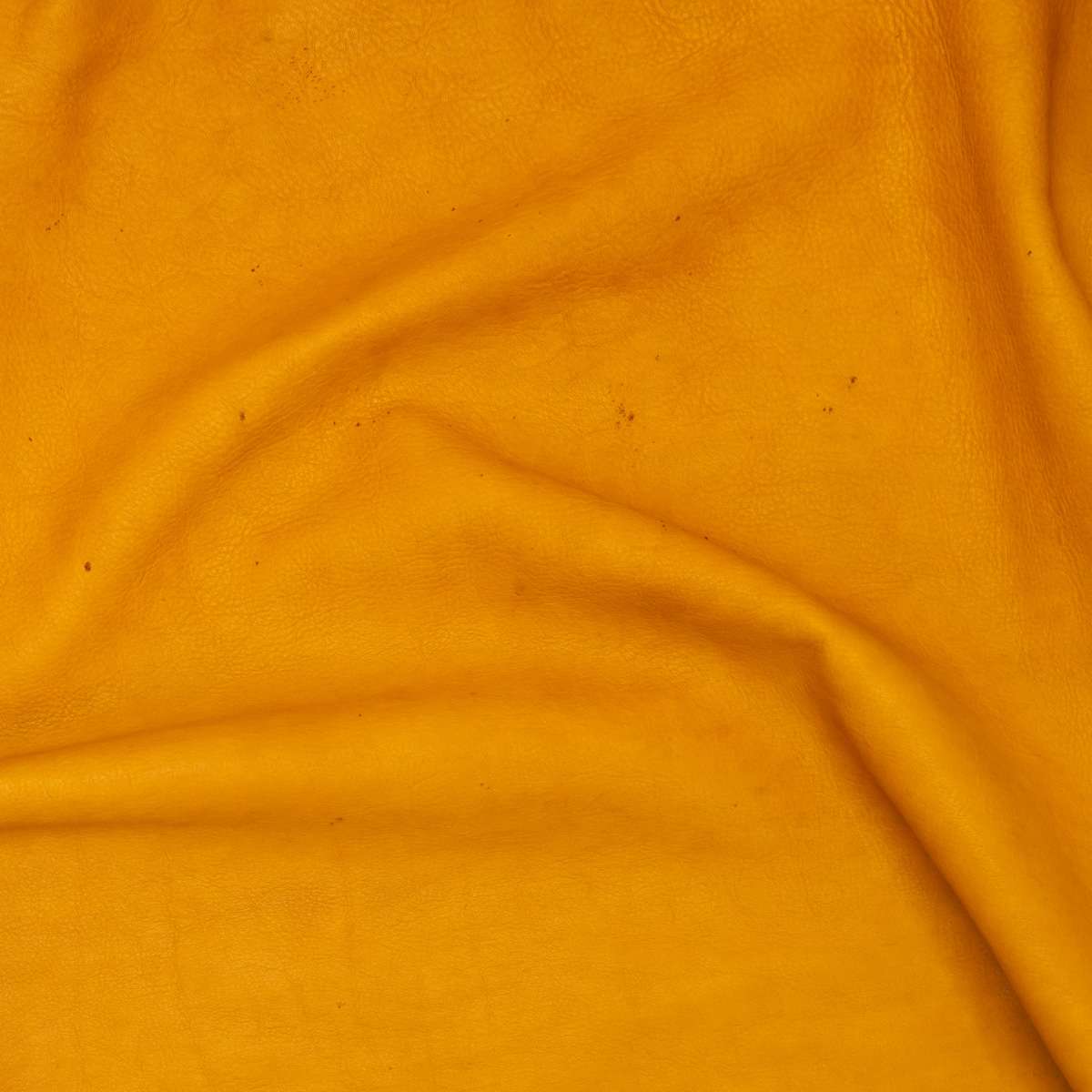 HOH.Honey.03.jpg Hermann Oak Heritage 1881 Image