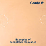 100-A.SLC.2.jpg Import Tooling Pre-Cut - 6" x 12" Image