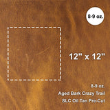 100-092.SLC.1.jpg 12"x 12" Aged Bark Crazy Trail Oil Tan Pre-Cut Image