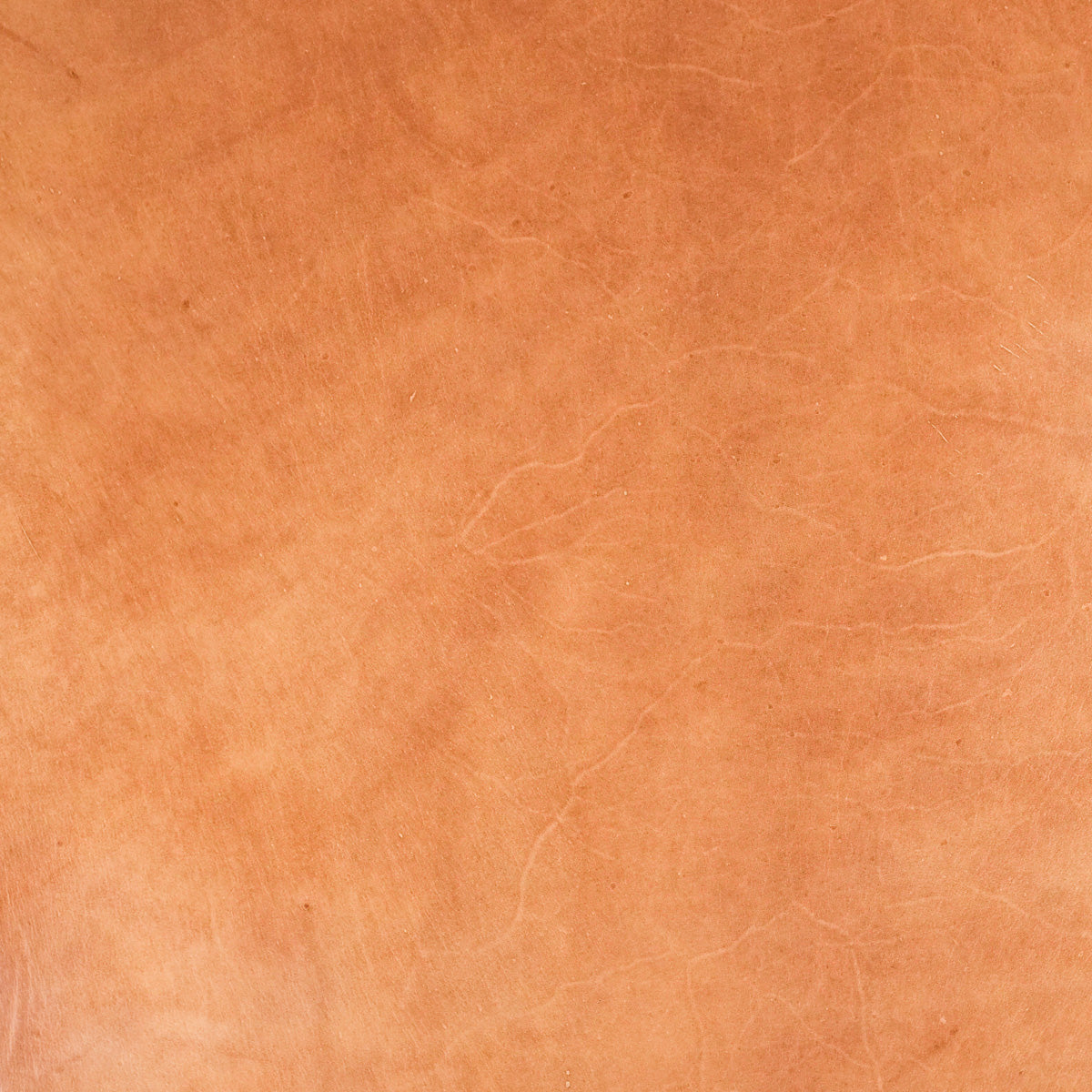 VTKS.Ochre.Glazed Finish.3.jpg Veg Tan Kangaroo Skins Image