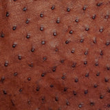 OSTH.Brandy.02.jpg Ostrich Hides Image